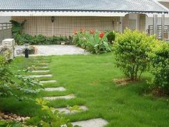 信譽(yù)好的屋頂綠化,提供專業(yè)的屋頂綠化-福州御景園環(huán)保科技提供信譽(yù)好的屋頂綠化,提供專業(yè)的屋頂綠化的相關(guān)介紹、產(chǎn)品、服務(wù)、圖片、價格庭院設(shè)計、福州植物墻、福州屋頂綠化、福州墻體美化裝飾、福州仿真植物墻、福州辦公綠化、