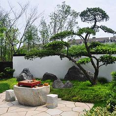 庭院設(shè)計(jì) 打造夢(mèng)想庭院的關(guān)鍵要素與實(shí)用指南