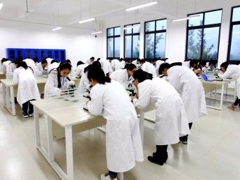 圖 四川遂寧32大專護理專業招生詳情 遂寧學歷教育 遂寧列表網